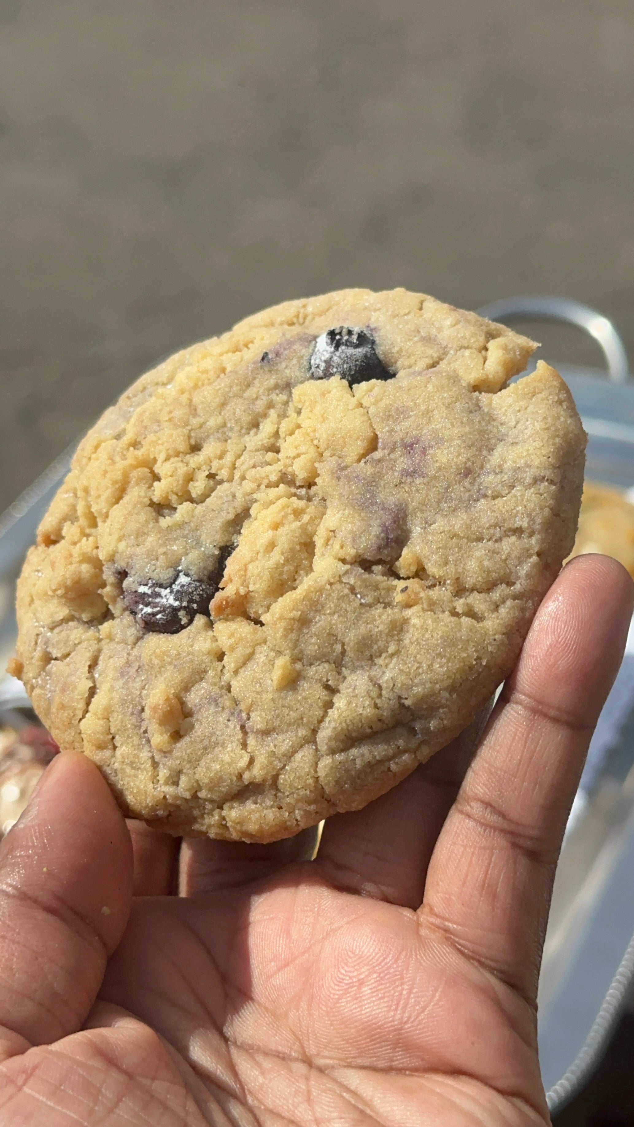 Lemon Blueberry Crumble Cookies