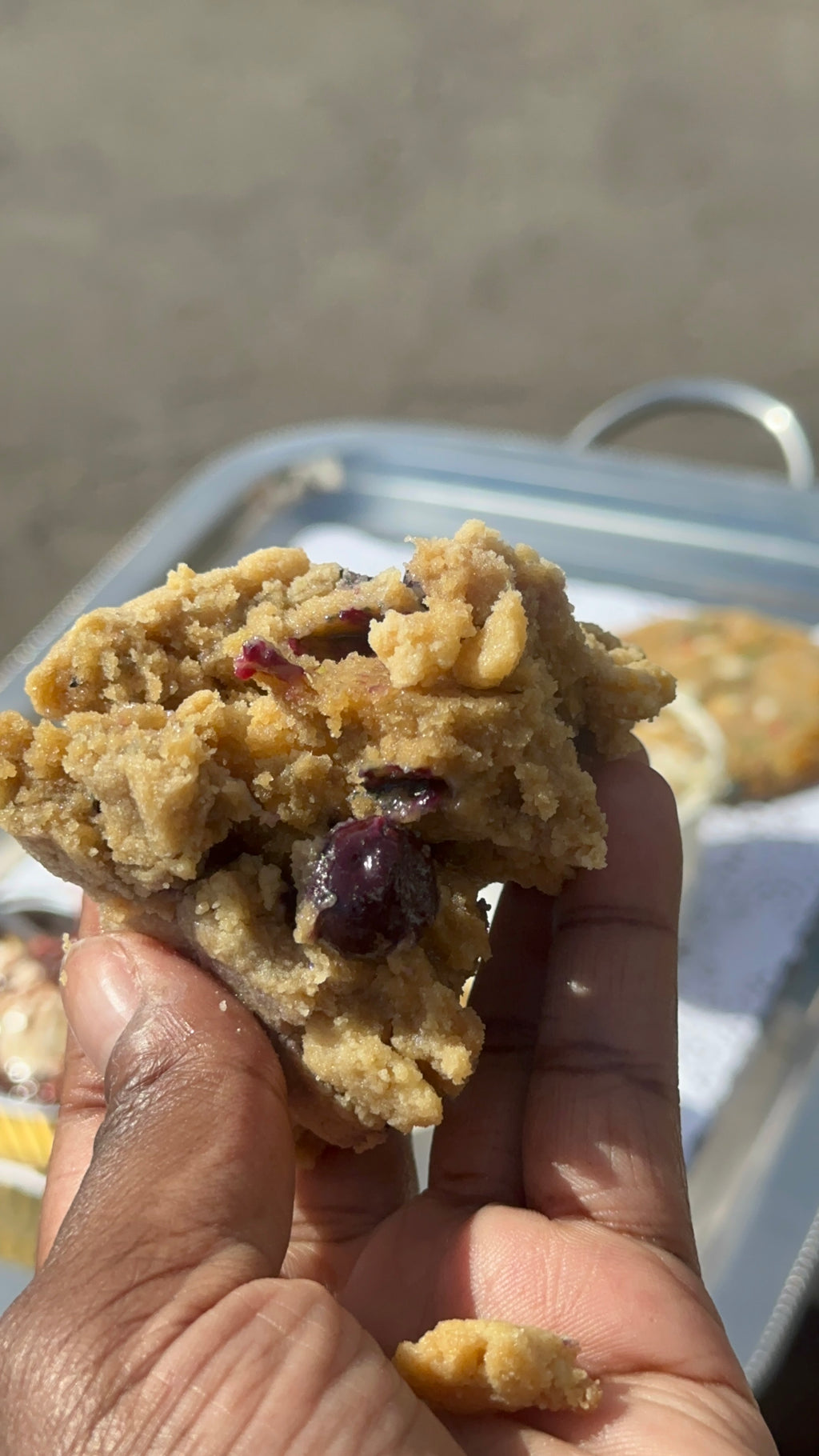 Lemon Blueberry Crumble Cookies