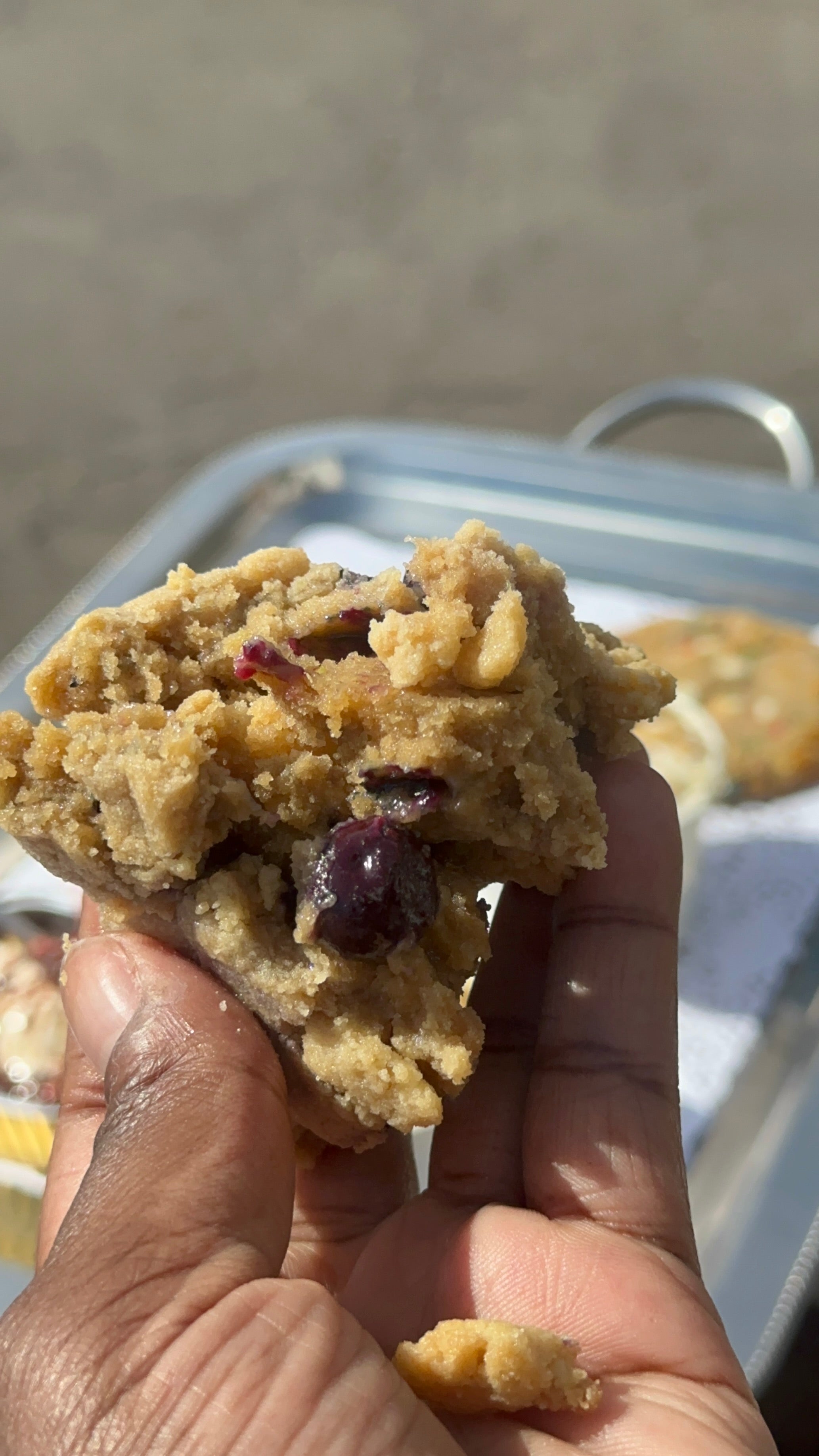 Lemon Blueberry Crumble Cookies